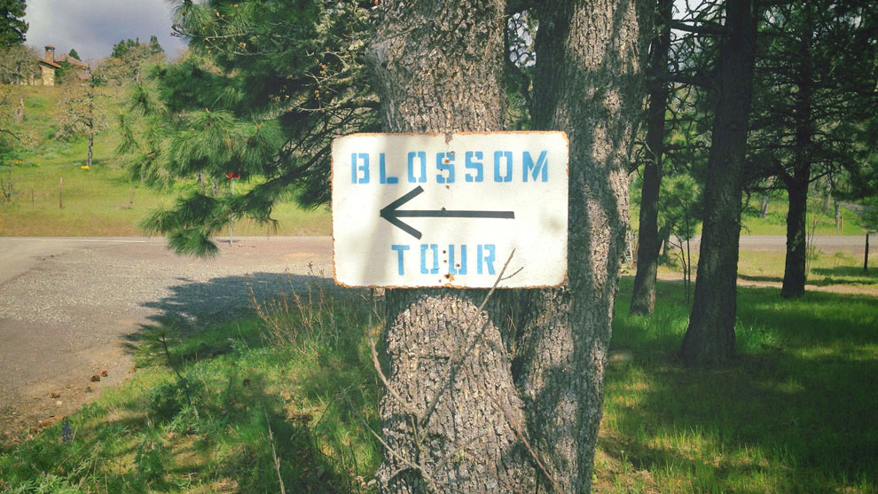 Oregon Blossom Tour signpost