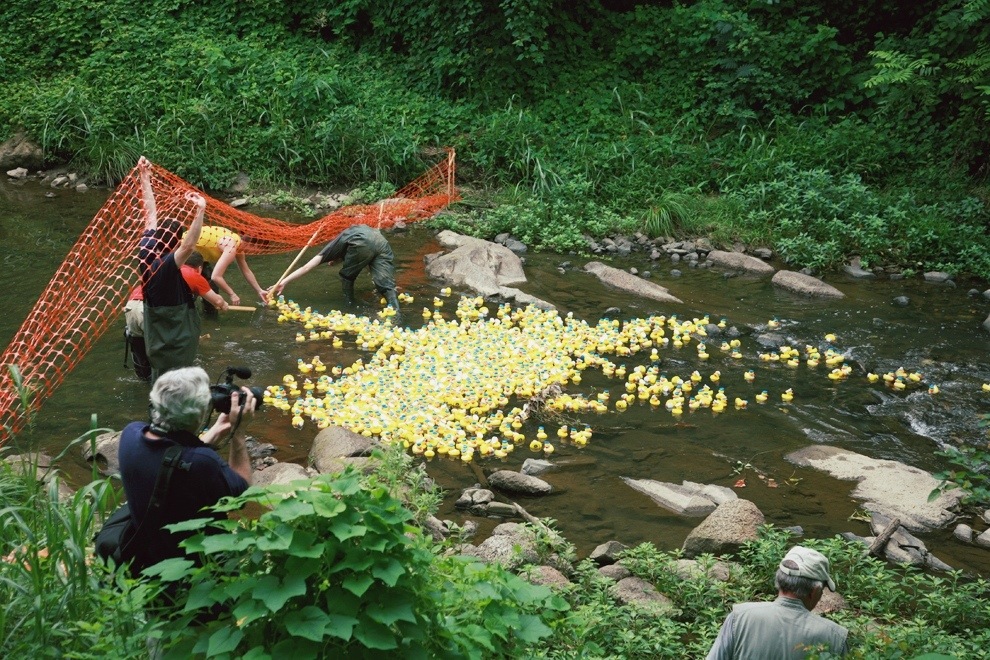 Catawba Riverkeeper Freedom Park Duckrace Frundraiser