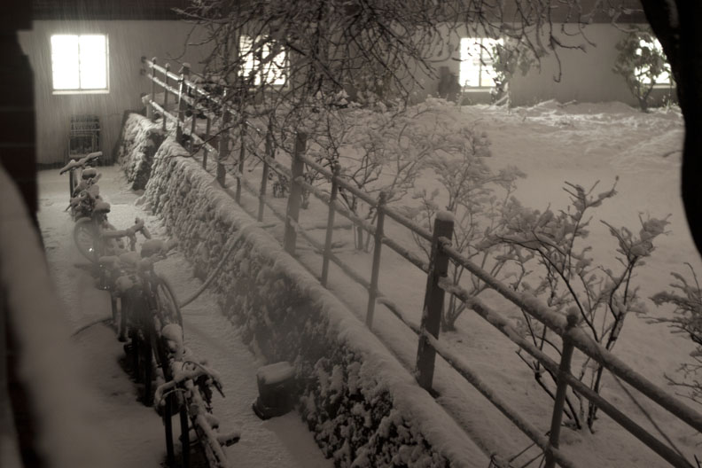 JANUARY 2012 COURTYARD